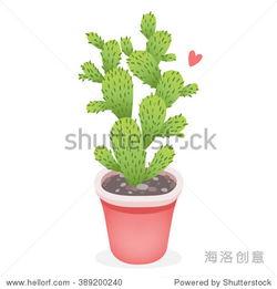 仙人掌视频官网版 