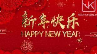 全景视觉 